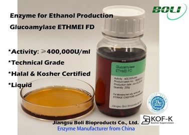 Glucoamilasi Ethmei Fd di attività enzimatica concentrata livello per produzione dell'etanolo