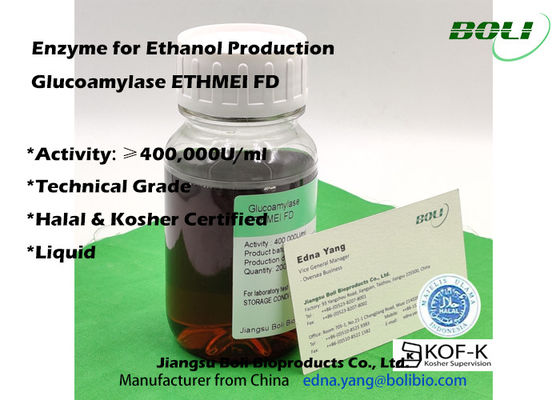 Enzima ad alta attività ETHMEI FD della glucoamilasi per produzione dell'etanolo