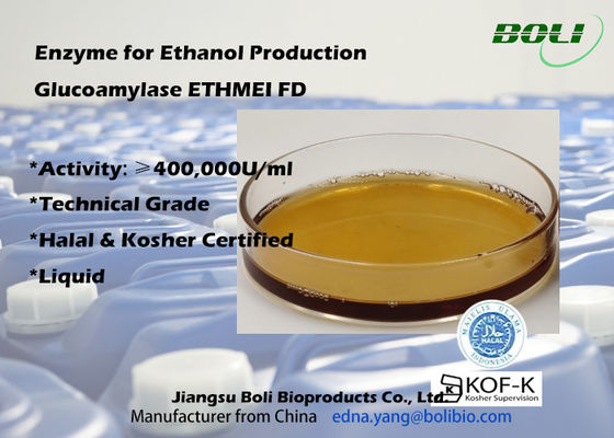 Enzima ad alta attività ETHMEI FD della glucoamilasi per produzione dell'etanolo
