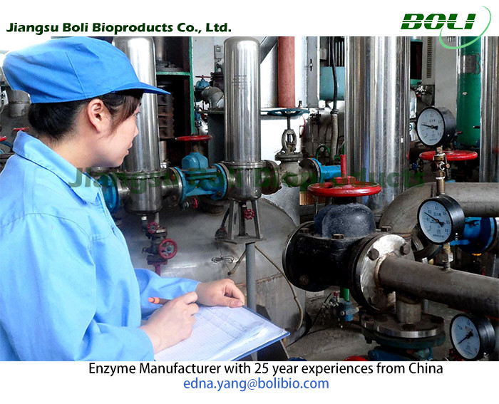 Jiangsu Boli Bioproducts Co., Ltd. linea di produzione in fabbrica