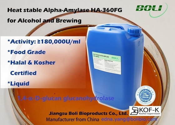 Alpha Amylase Enzyme termostabile HA-360FG per alcool e fare