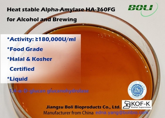 Alpha Amylase Enzyme termostabile HA-360FG per alcool e fare
