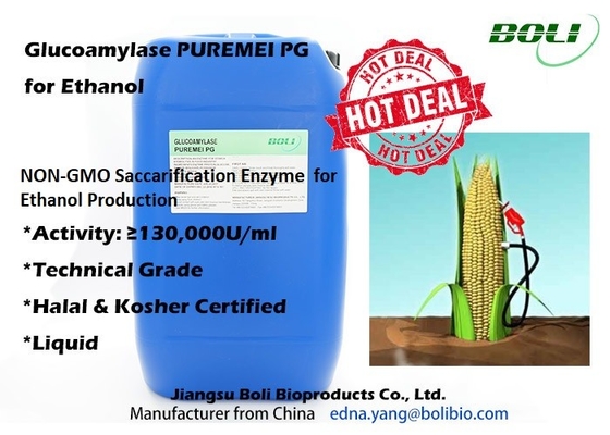 Della pagina enzima Puremei della glucoamilasi del Gmo Saccarification non per produzione dell'etanolo halal