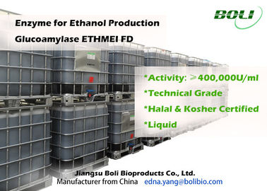 Alta glucoamilasi ETHMEI FD di attività enzimatica per produzione dell'etanolo