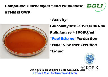 Glucoamilasi ed enzimi mescolati pullulanasi per il grado tecnico del GWP dell'etanolo ETHMEI