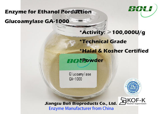 Polvere industriale degli enzimi della glucoamilasi GA-1000