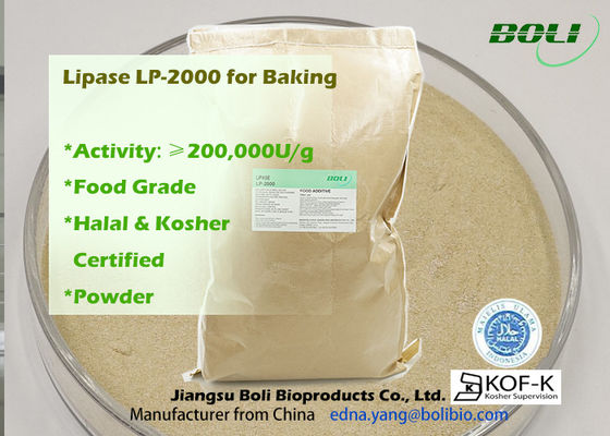 200000u/G spolverizzano l'alto enzima efficiente della lipasi Lp-2000 per utilizzazione alimentare del forno