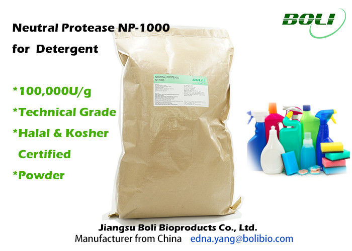 Proteasi neutra tecnica NP - 1000 degli enzimi proteolitici della polvere del grado per il detersivo