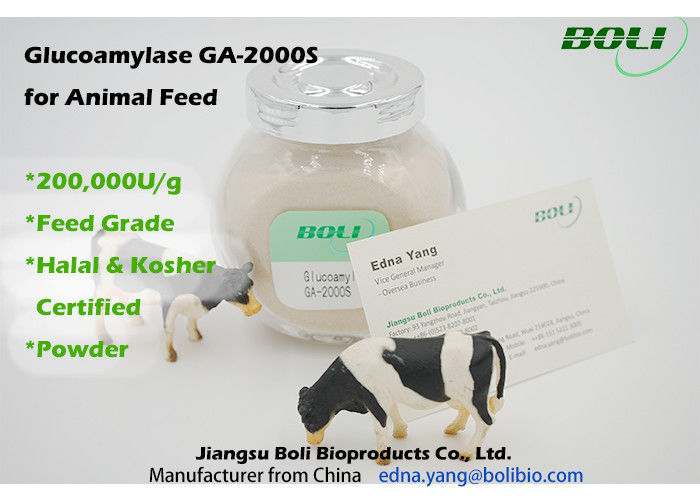 Enzimi biologici 200000 U/g, enzima di alta attività dell'amiloglucosidasi dell'alimentazione animale