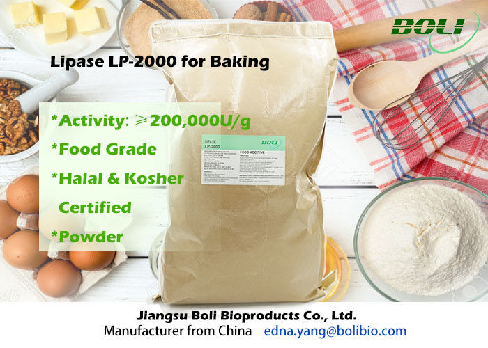 Enzima LP-2000 della lipasi della polvere del commestibile su efficiente per il forno 200000 U/g