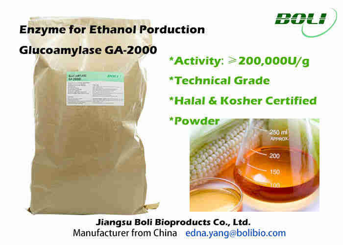 Enzima industriale GA - 2000 efficacie più veloci della glucoamilasi della polvere di fermentazione per etanolo