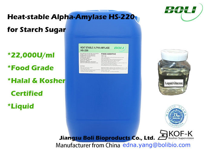 Forma liquida degli enzimi dell'alfa amilasi del commestibile con il certificato halal e cascer
